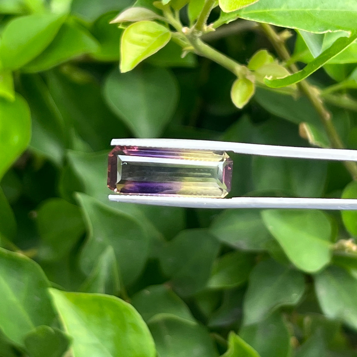 7.45 Ct Natural Ametrine (Bi-color Gemstone)
